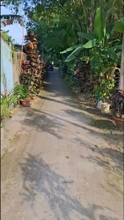 Đất thổ cư 300m² tại Xã Tân Hội, Thị Xã Cai Lậy - Giá chỉ 690 triệu, thương lượng ngay!