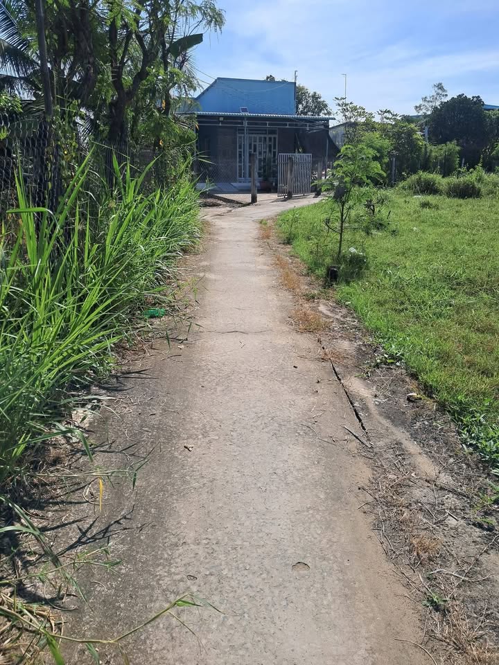 Đất nền 192m² tại ấp Hiệp Trị, Gò Công Đông chỉ 320 triệu - Cơ hội đầu tư hấp dẫn!