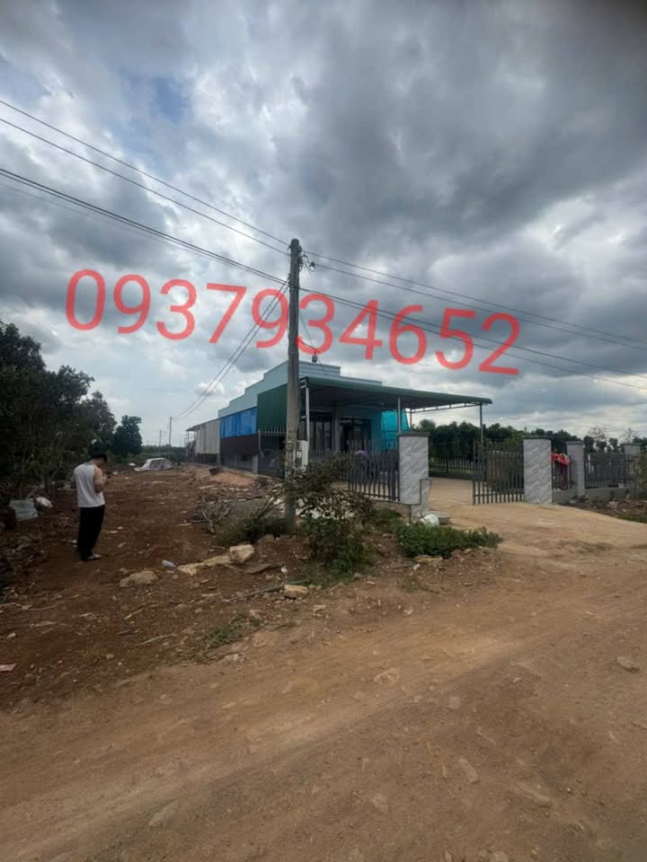 Đất nền Tân Hội, Đức Trọng 160m² chỉ 830 triệu - Cơ hội đầu tư sinh lời!