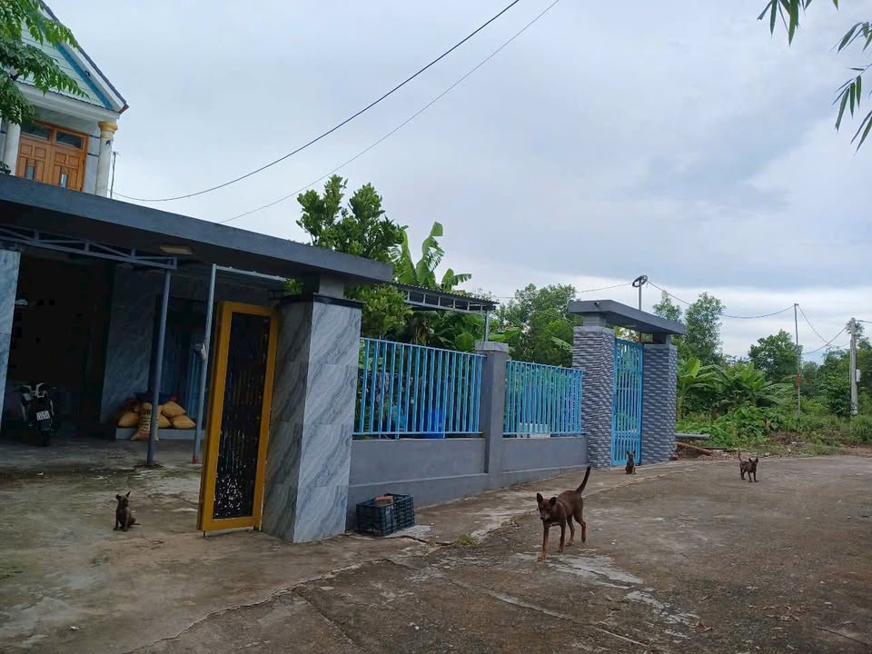 Đất nền Hòa Khương 149m² giá chỉ 900 triệu - Đầu tư sinh lời ngay!