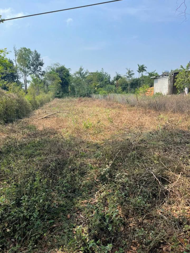 Đất nền Hẻm 171 Hòa Thắng 500m² giá chỉ 1.8 tỷ - Đầu tư sinh lời lý tưởng!