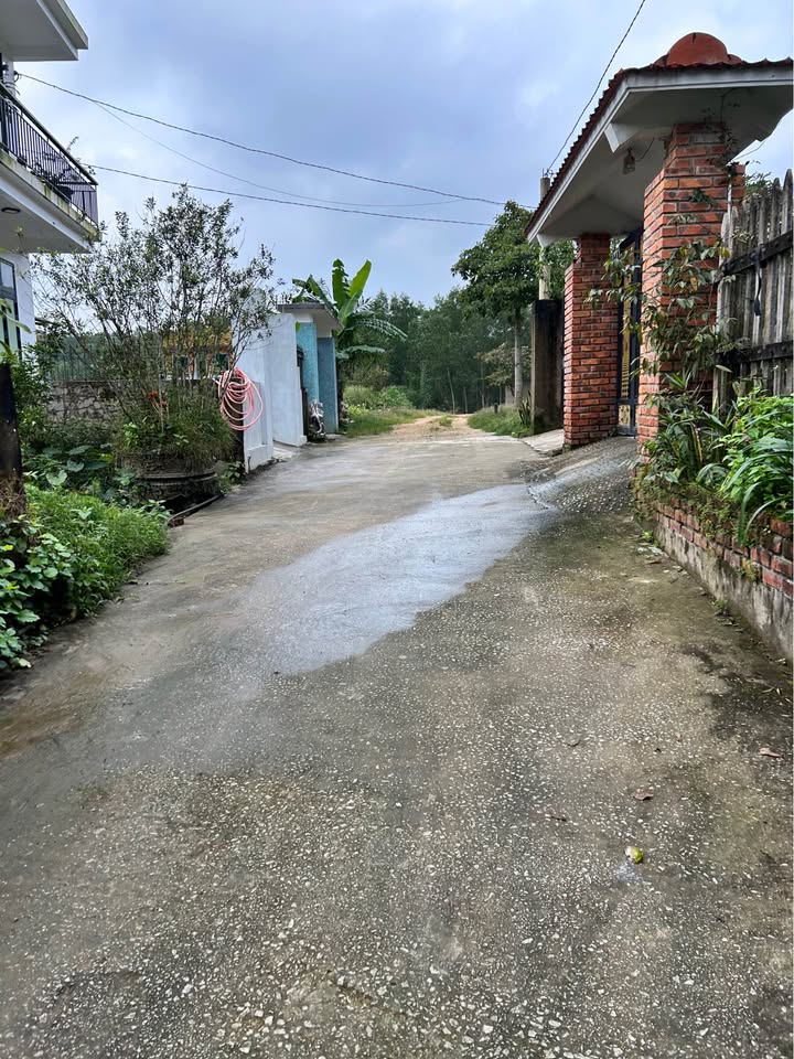 Đất thổ cư 440m² tại Phùng Quán, Thủy Dương - Giá chỉ 3,7 triệu/m², thương lượng ngay!