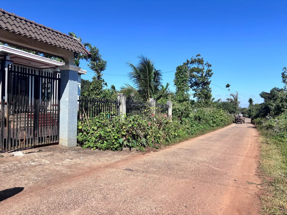 Lô đất Tân Lập Buôn Ma Thuột 155m² giá 1.04 tỷ - Đầu tư sinh lời ngay!