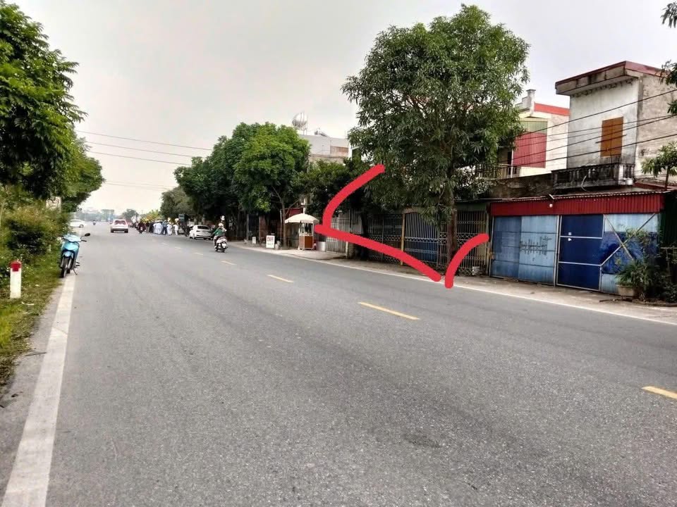 Đất mặt đường Quốc lộ 39 Thái Thụy 138m² giá 3 tỷ - Kinh doanh thuận lợi!