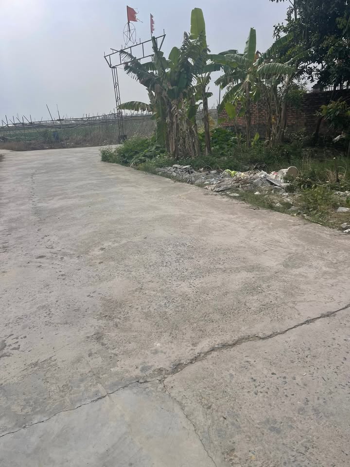 Đất nền xã Toàn Thắng, Gia Lộc 88m² giá chỉ 700 triệu - Cơ hội đầu tư tuyệt vời!