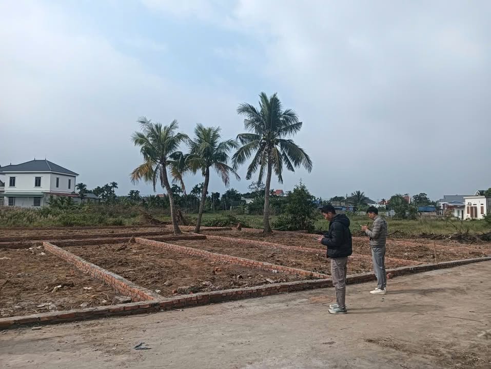 Đất nhà vườn mini Hòa Nghĩa Dương Kinh 180m² giá chỉ 1.3 tỷ - Ô tô vào tận nơi!