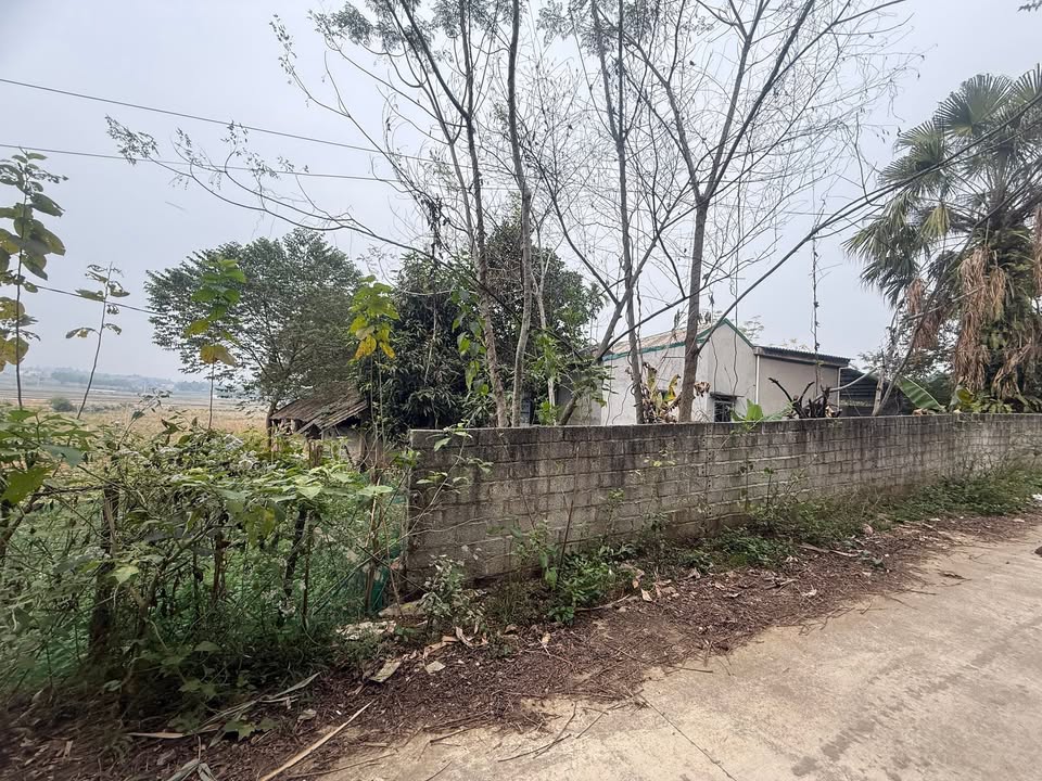 Đất Cự Đồng Thanh Sơn 210m² giá chỉ 100 triệu - Đầu tư sinh lời ngay!