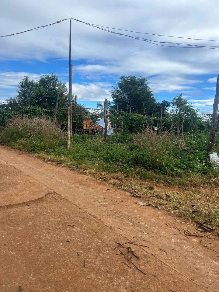 Đất nền Biển Hồ, Pleiku 1056m² giá 1.09 tỷ - Sổ đỏ chính chủ, đầu tư sinh lời!