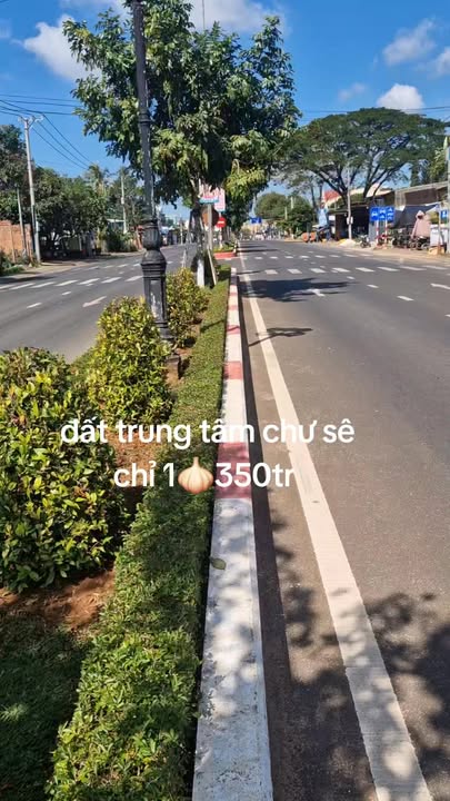 Đất nền chính chủ tại Chư Sê 239.2m² giá 1 tỷ - Cơ hội đầu tư hấp dẫn!