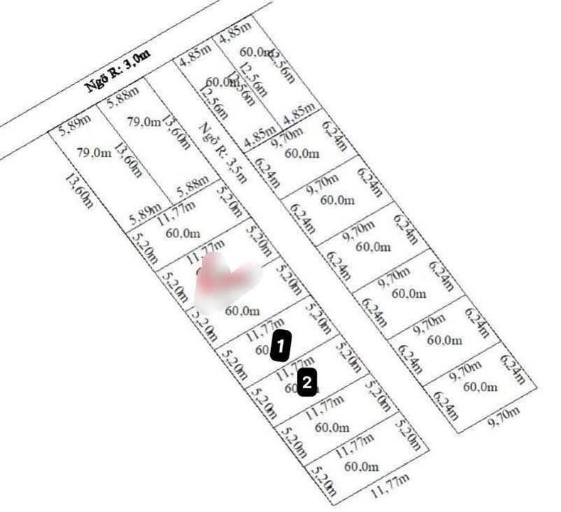 Đất thổ cư thôn 9 Thiểm Khê, 60m² giá chỉ 250 triệu - Cơ hội đầu tư hiếm có!