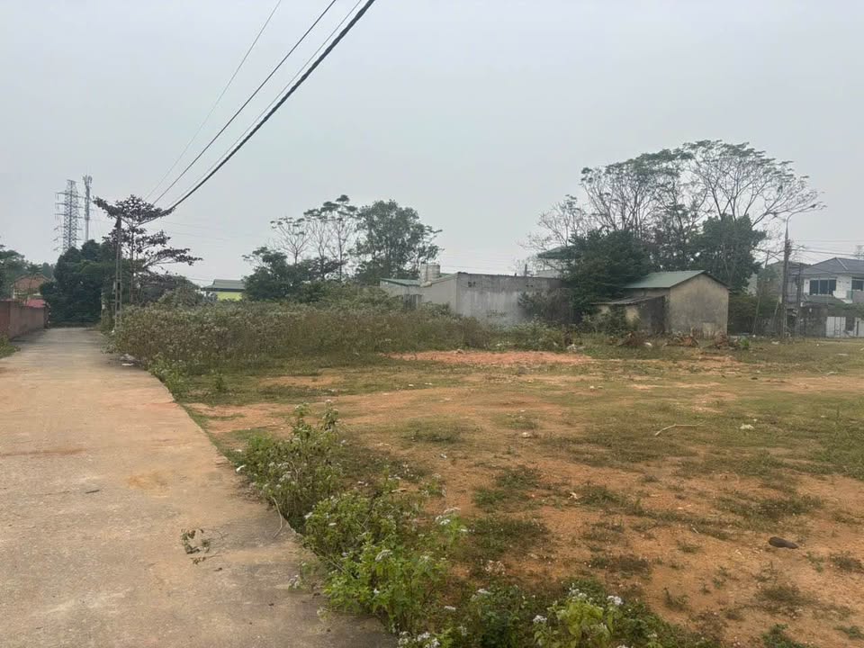 Đất 2 mặt đường Cẩm Đội 305m² giá 13 triệu - Đầu tư sinh lời ngay!