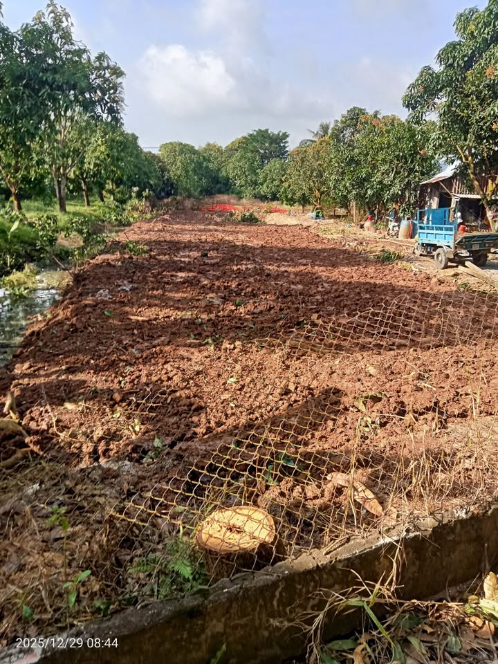 Đất nền phường Tân Thuận Tây, 650m² giá chỉ 1.25 tỷ - Đầu tư sinh lời ngay!