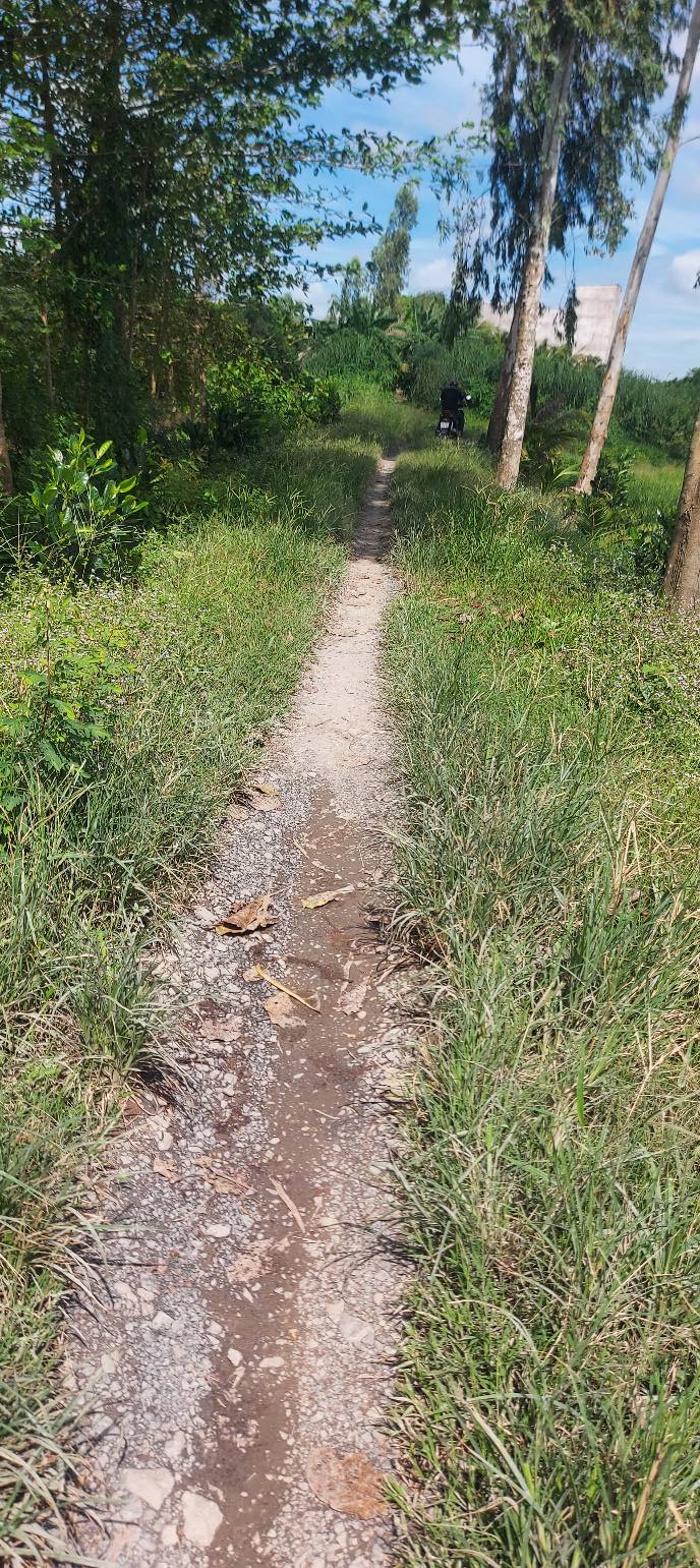 Đất mặt tiền xã Phương Trà 1633m² giá 580 triệu - Cơ hội đầu tư tuyệt vời!