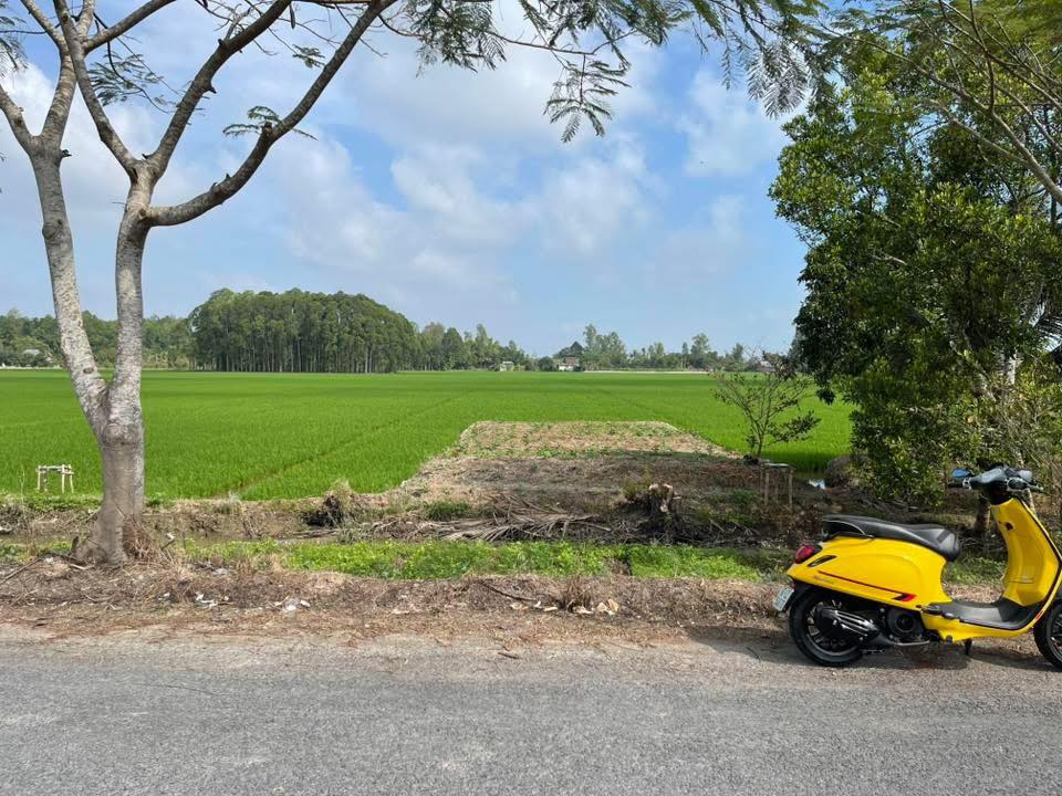 Đất mặt tiền đường nhựa ĐT 852B, Lấp Vò, 7524m² giá 7.4 tỷ - Cơ hội đầu tư tuyệt vời!