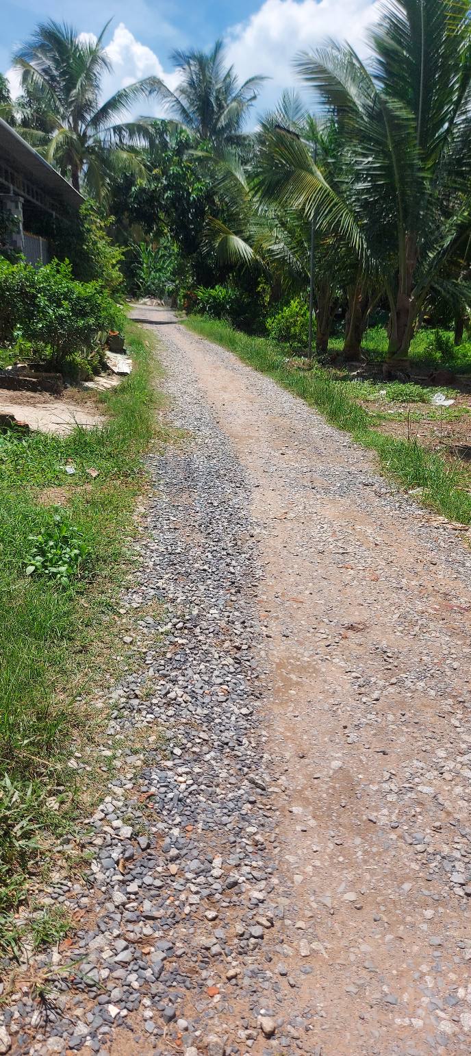 Đất nền ấp Tấn Long, Chợ Mới 2275m² giá 650 triệu - Đầu tư sinh lời ngay!