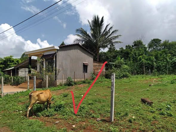 Đất nền xã Ea D'rơng, huyện Cư M'gar 110m² giá 390 triệu - Đầu tư sinh lời ngay!