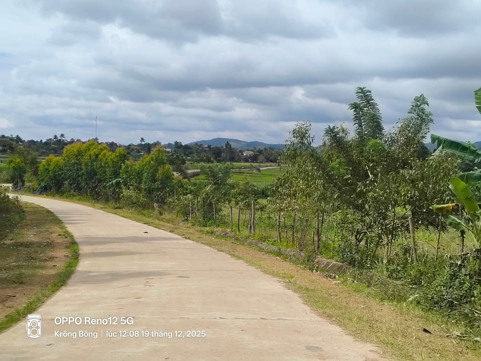 Đất nền 15.6m² tại Đắk Lắk giá 160 triệu - Đường bê tông thông thoáng!