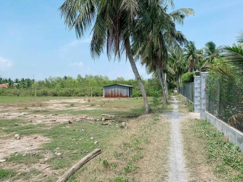 Đất vườn Tân Phú Đông Tiền Giang 620m² giá 375 triệu - Đầu tư sinh lời hấp dẫn!