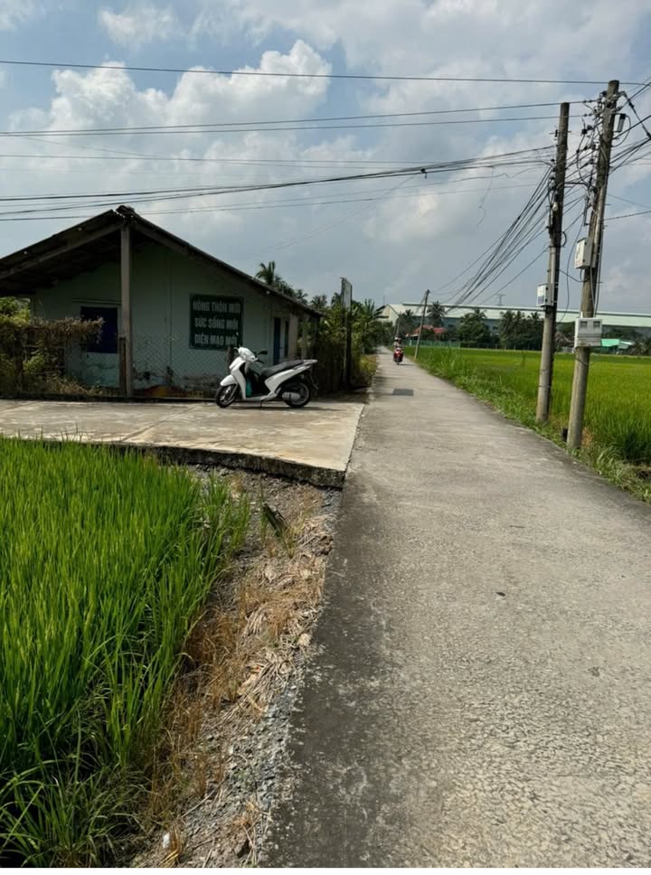 Đất thổ cư 1800m² tại Nhựt Chánh, Bến Lức - Sổ hồng riêng, giá chỉ 7 tỷ!