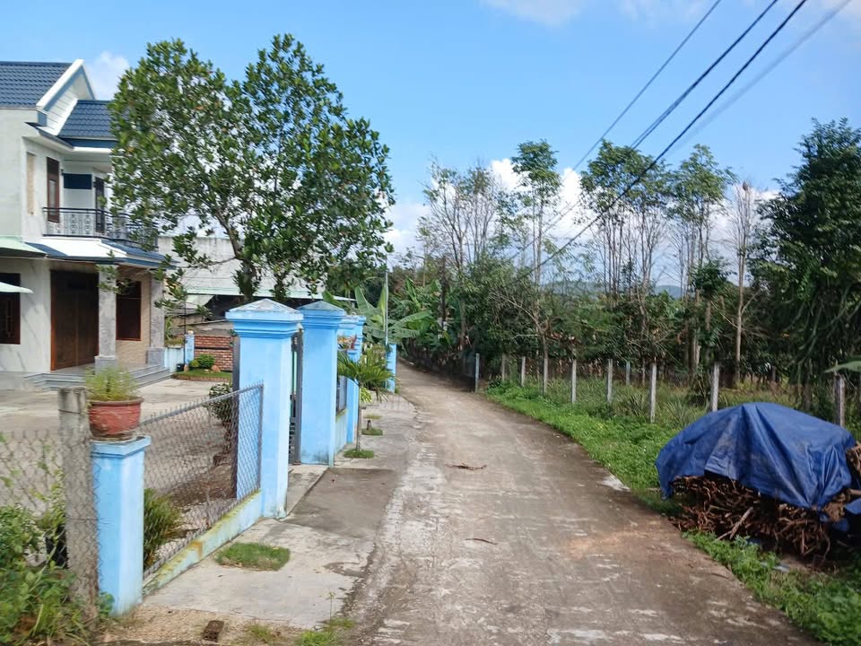 Đất nền Hòa Phong Đà Nẵng 127m² giá chỉ 1 tỷ - Vị trí đỉnh, không mua là tiếc!