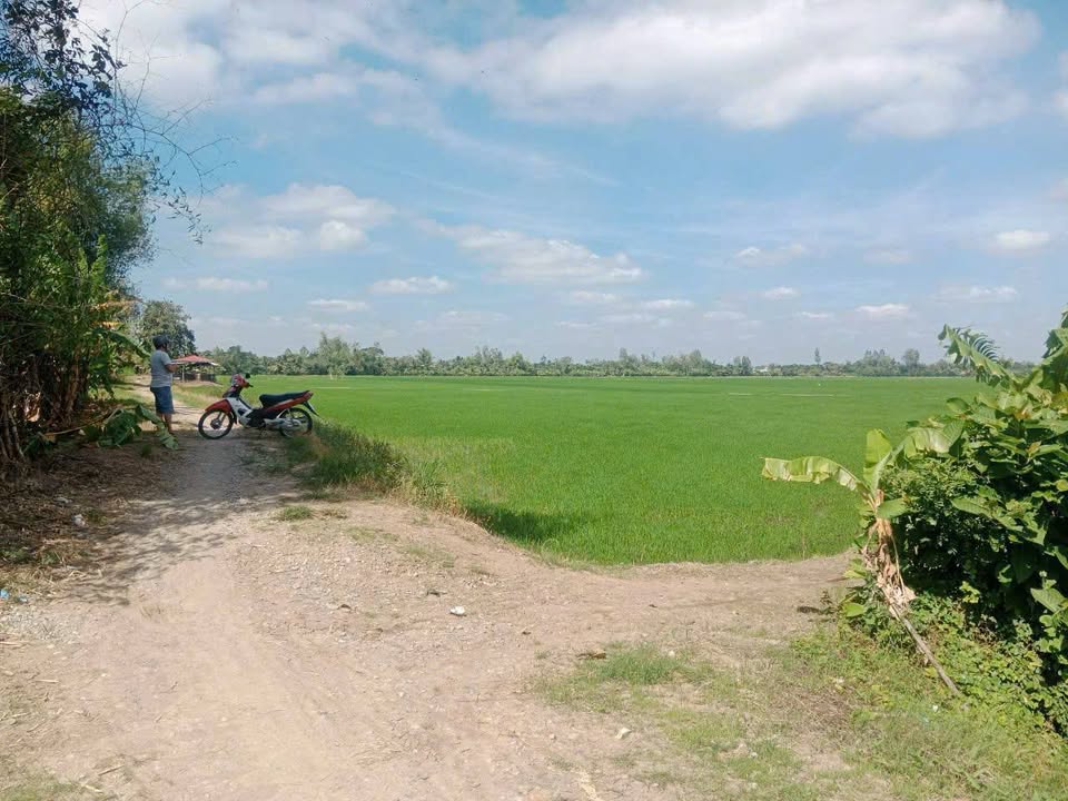 Đất lúa góc 2 mặt tiền kênh Ông Đốc Thoại Sơn 6300m² giá 6.3 tỷ - Cơ hội đầu tư hấp dẫn!