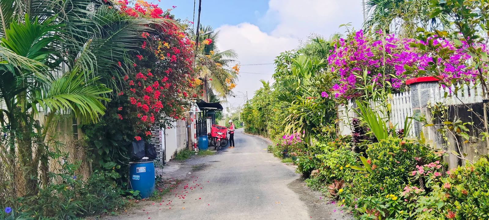 Đất nền Bình Mỹ, Củ Chi 1.942,8m² - Vị trí đẹp, pháp lý rõ ràng!