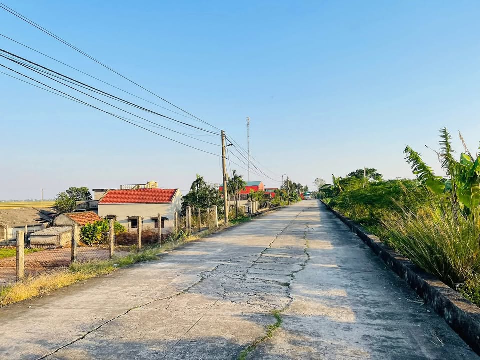 Đất nền Đê Bình Minh 1 Nghĩa Hưng 250m² giá 750 triệu - Vị trí đẹp, thoáng mát!