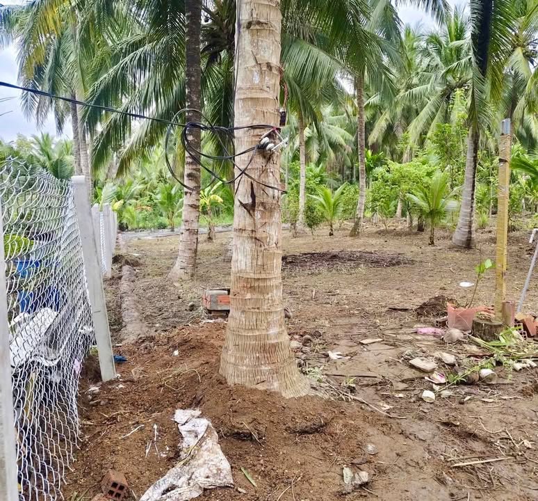 Đất Tân Hội Mỏ Cày Nam 2184m² giá 812 triệu - Cơ hội đầu tư hiếm có!