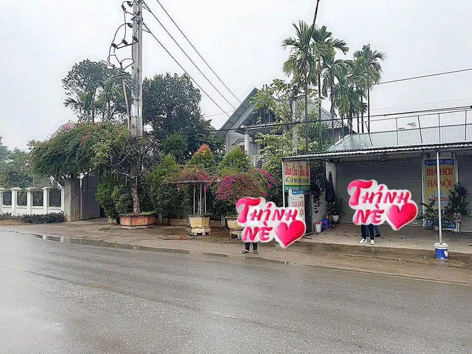 Đất nền Hòa Thạch 300m² giá 12 tỷ - Đầu tư sinh lời cao!