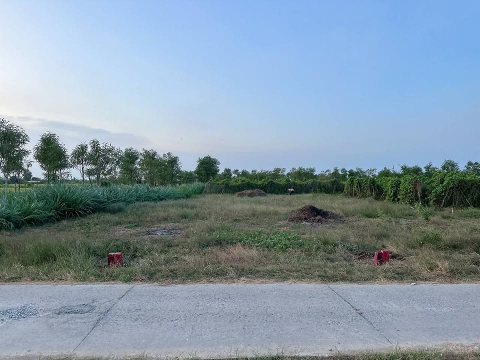 Đất nền 100m² tại Ấp Hiệp Trị, Bình Nghị - Giá chỉ 350 triệu - Cơ hội đầu tư hấp dẫn!