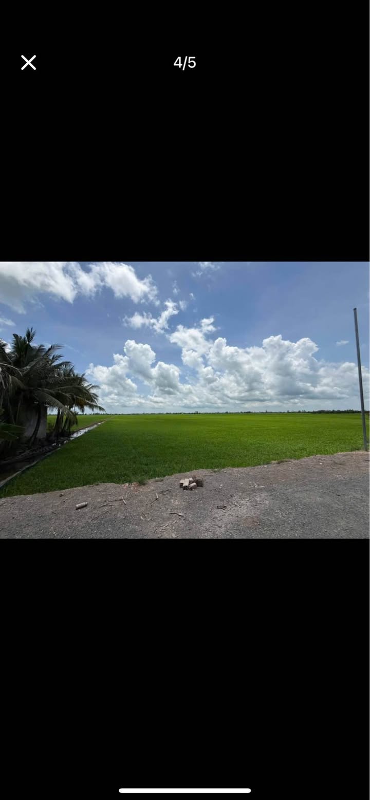 Đất nông nghiệp Thoại Sơn An Giang 65.000m² giá 10.4 tỷ - Mặt tiền 90m lộ nhựa