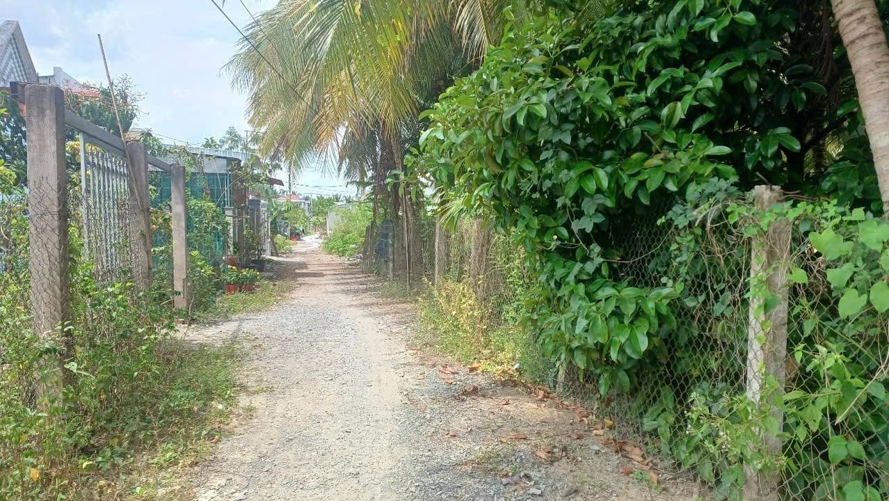 Đất thổ cư 100% tại Tam Bình, Vĩnh Long 345m² - Chính chủ bán gấp!