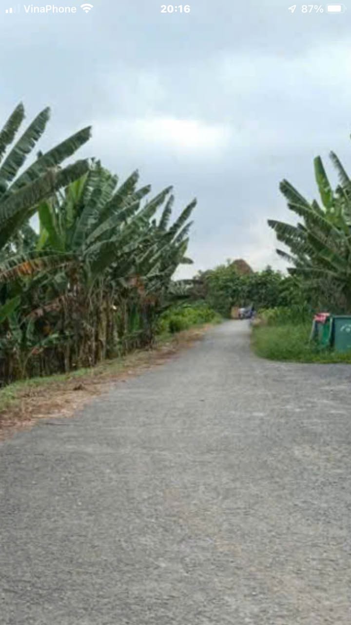 Đất nền Hòa Tịnh, Mang Thít, Vĩnh Long 1200m² giá 2.04 tỷ - Cơ hội đầu tư lý tưởng!