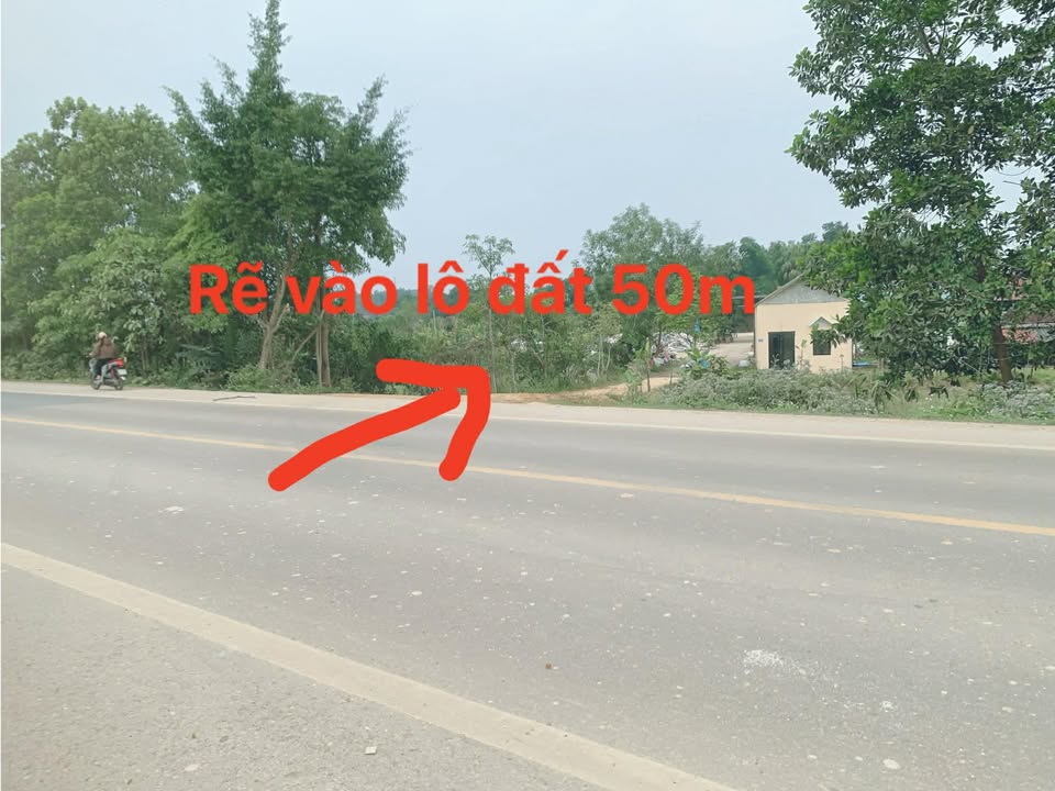 Đất nền tại đường CT Nghi Sơn Sao Vàng, Triệu Sơn 116m² - Đầu tư sinh lời ngay!