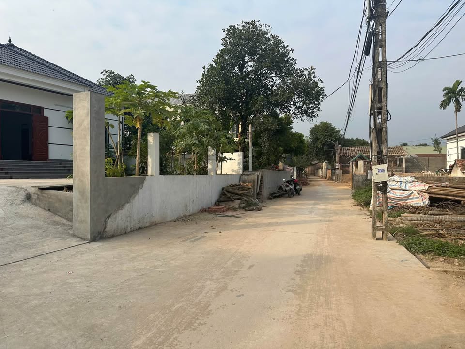 Lô Đất 115m² Tại Trung Tâm Huyện Tam Đảo - Giá Cực Tốt 800 triệu!