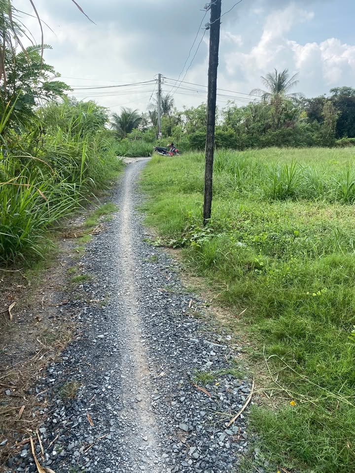 Bán lô đất mặt tiền kênh tại xã Gia Thuận, 150m² giá 320 triệu - Cơ hội đầu tư hấp dẫn!