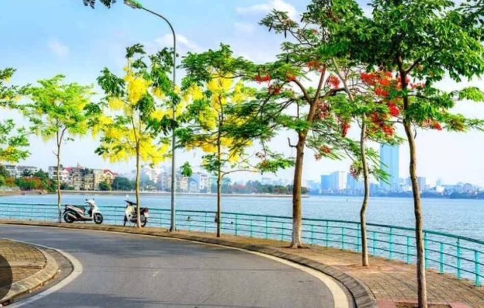 Nhà phố Tây Hồ 35m² giá 11.5 tỷ - Ô tô vào tận ngõ, vị trí đắc địa!