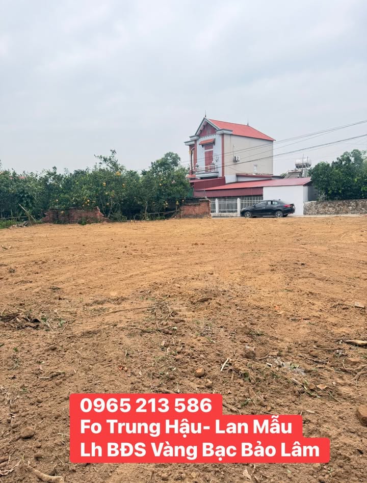 Đất nền chính chủ tại Lan Mẫu, Lục Nam - Diện tích 167.5m², giá chỉ từ 700 triệu!