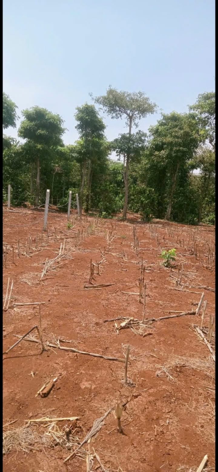 Đất nền 619m² tại Khánh Xuân, Buôn Ma Thuột - Bán gấp 600 triệu!