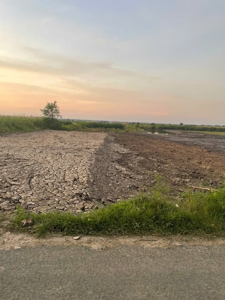 Đất nền xã Nam Yên, huyện An Biên, Kiên Giang 1308m² - Cơ hội đầu tư tuyệt vời!