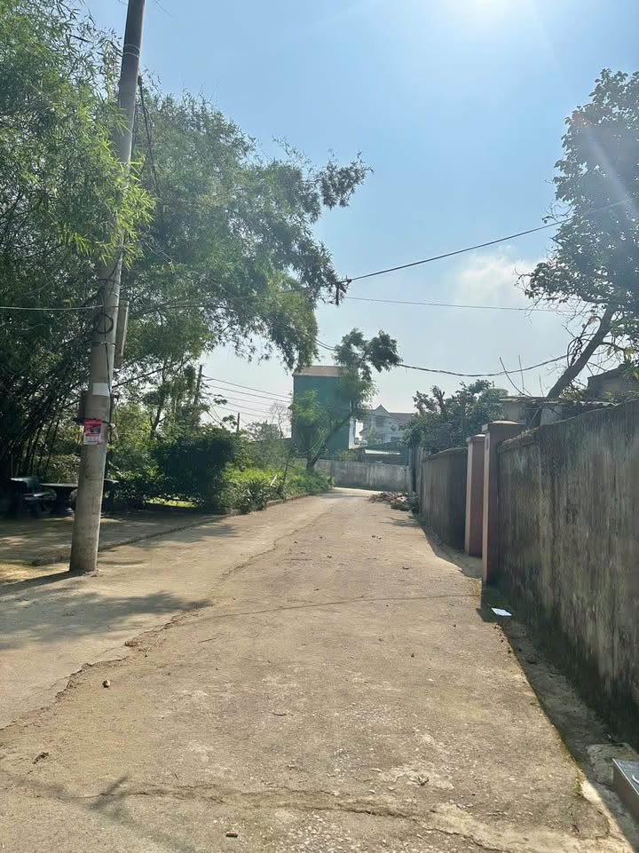 Đất nền tại Tân Hùng, Hưng Dũng 116.9m² giá 3 tỷ - Đường rộng 4m, ở ngay!