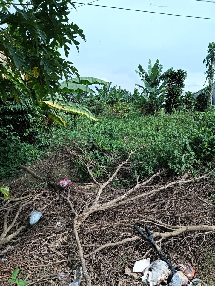 Đất nền Bảo Lâm 300m² giá 5.8 tỷ - Đầu tư sinh lời ngay!