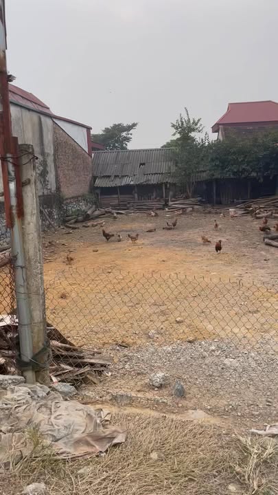 Đất thổ cư Đoan Hạ Thanh Thủy 300m² - Cách chợ 200m, giá thỏa thuận!