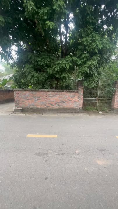 Đất nền xã Hy Cương, Việt Trì 520m² giá 3 tỷ - Cơ hội đầu tư sinh lời!