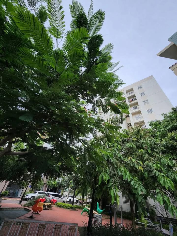 Nhà đất Hoàng Văn Thụ 123m² giá 3 tỷ - Nền đất lớn tặng nhà 1 tầng!