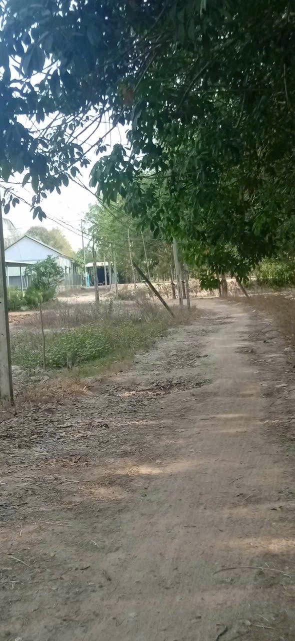 Đất nền Hảo Đước, Châu Thành, Tây Ninh 720m² giá 32.4 tỷ - Sát bên đường nhựa