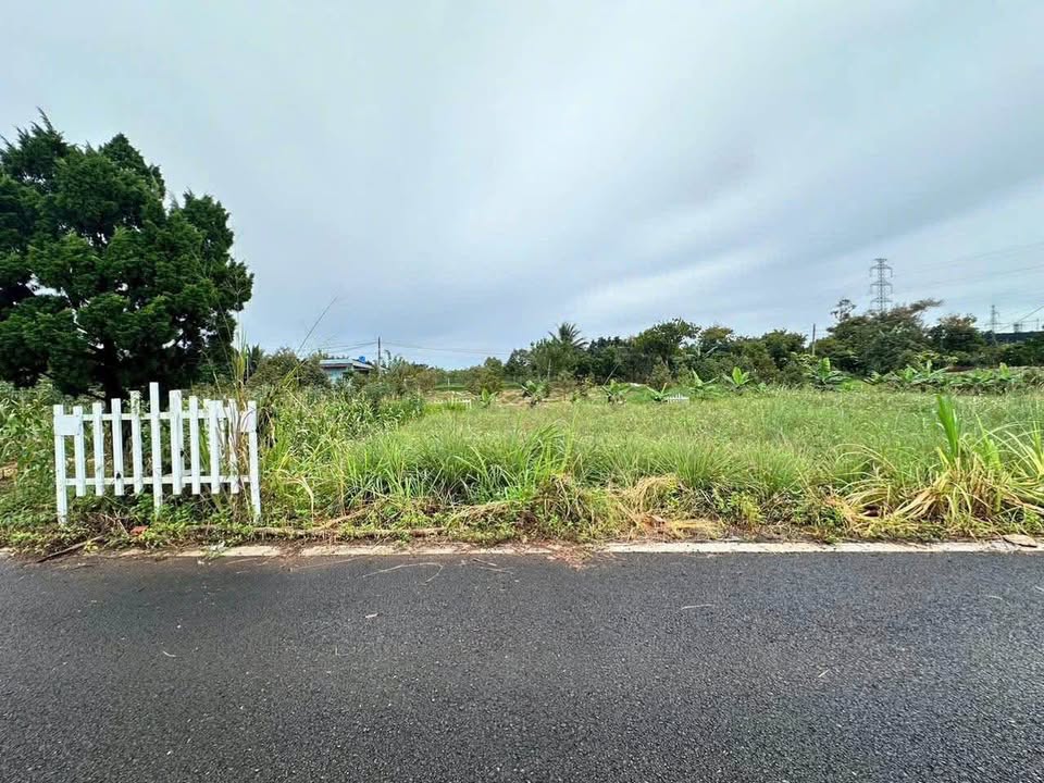 Đất nền Bảo Lộc 322m² giá 1.75 tỷ - View núi Đại Bình tuyệt đẹp!