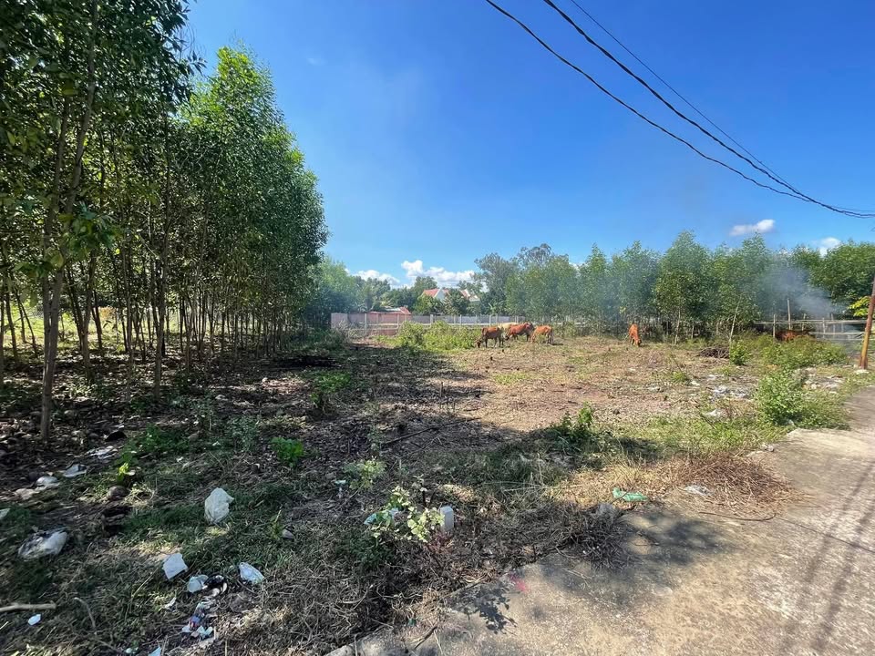 Đất thổ cư Vĩnh An 132m² giá 900 triệu - Tiện ích đầy đủ, gần trường cấp 3!