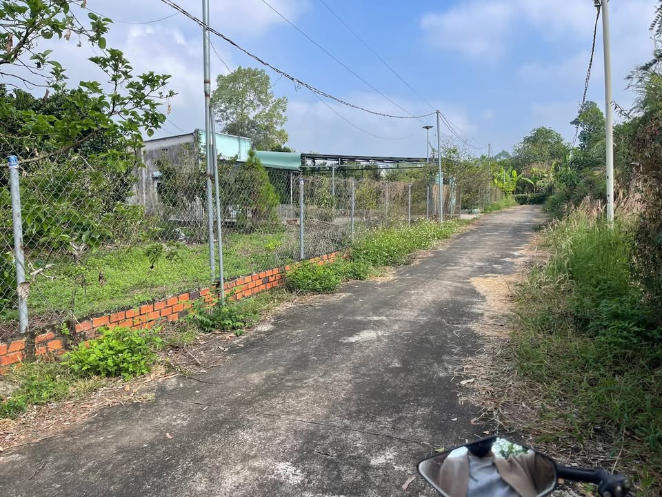 Vườn trái cây Dầu Giây 1000m² giá 1 tỷ - View suối thơ mộng!