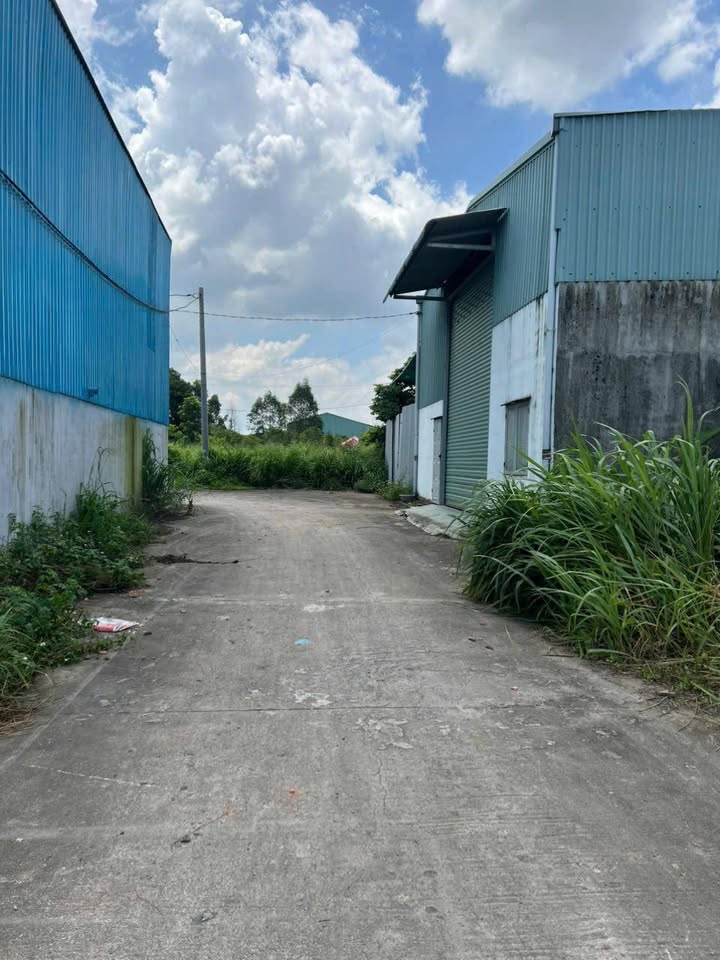 Đất thổ cư 245.9m² tại Trảng Dài, Biên Hòa chỉ 1.55 tỷ - Sổ đỏ chính chủ!